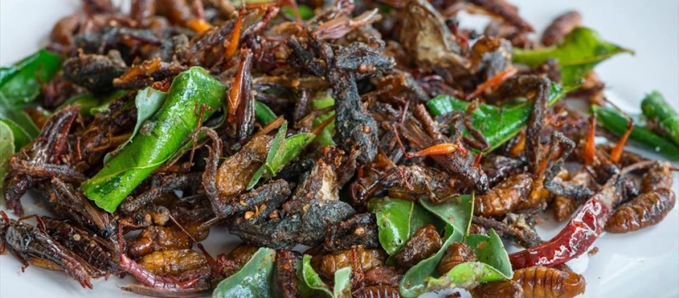 Αυτά που έρχονται: Θα τρώμε έντομα και ότι θα ... τυπώνουν 3D printers (βίντεο)